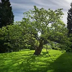 Hotel Chateau Garden Retreat 4*
