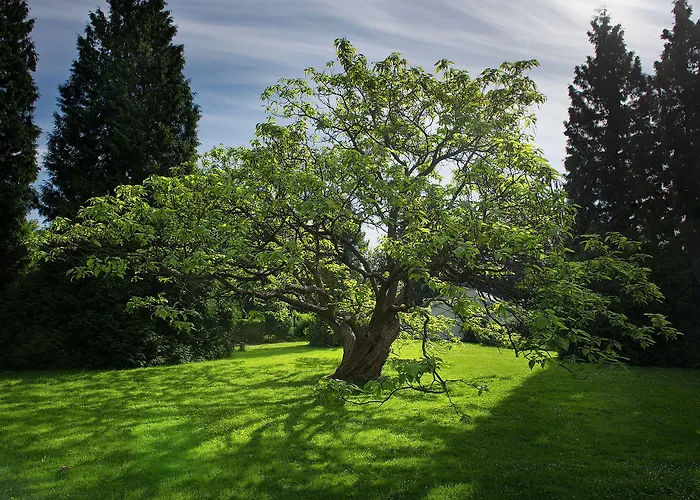 Hotel Chateau Garden Retreat 4*